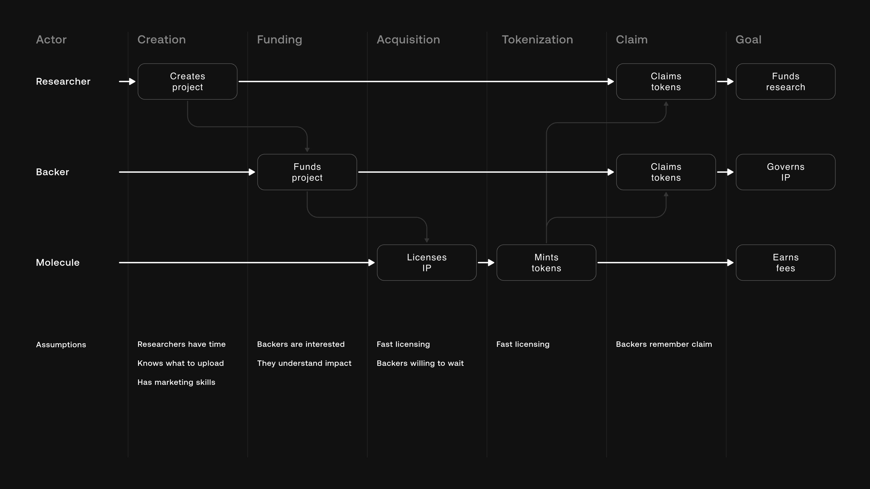 Journey map with rows for researcher, backer, and Molecule across six stages: creation, funding, acquisition, tokenization, claim, and goal. The researcher creates a project, backers fund it, Molecule licenses the IP and mints tokens, and researcher and backers claim them. In the end the researcher funds research, backers govern the IP, and Molecule earns fees. A bottom row lists the assumptions under each stage, such as researchers have time, backers are interested, fast licensing, and backers remember to claim.